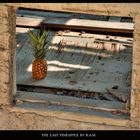 The Last Pineapple