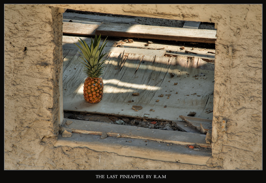 The Last Pineapple