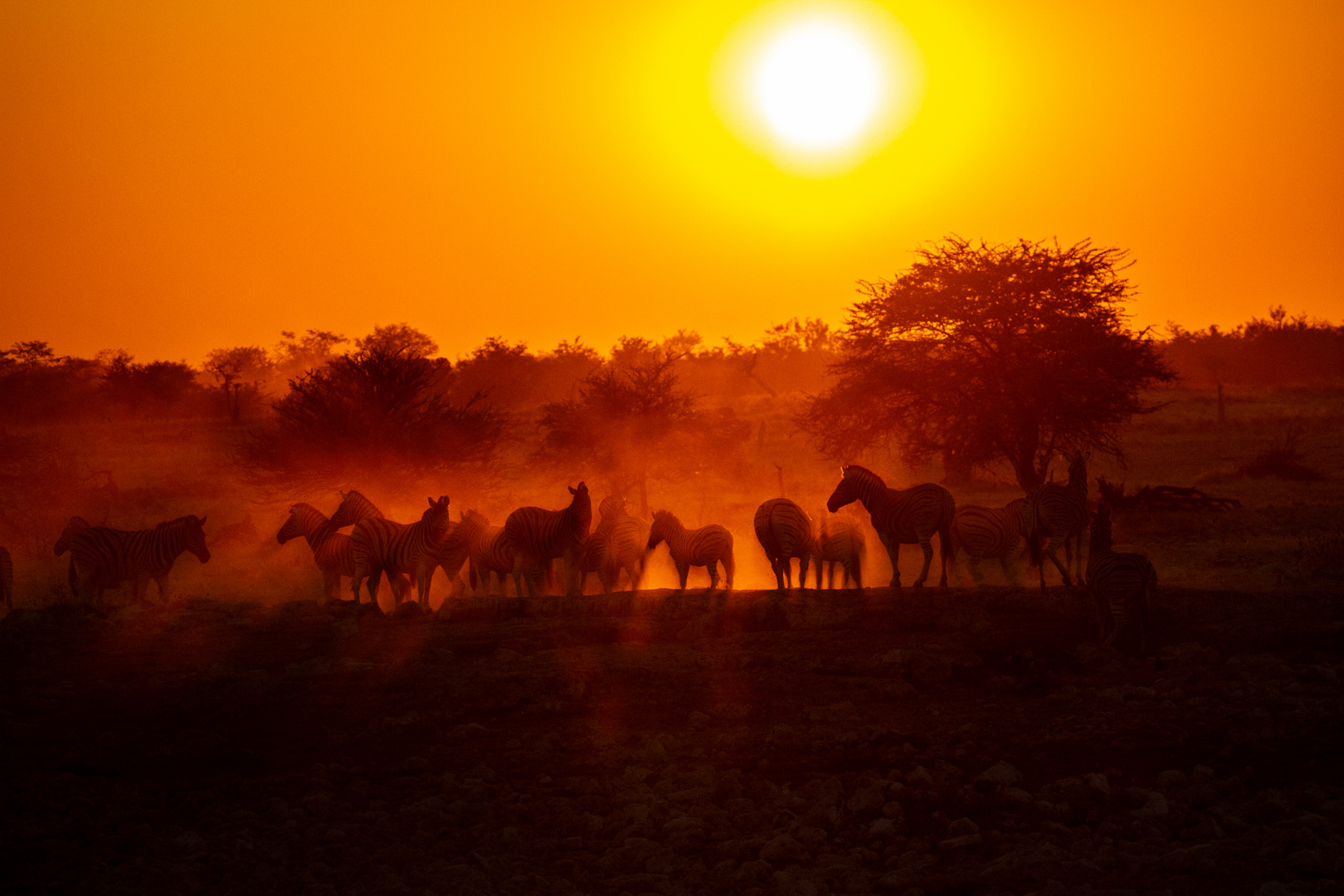 The last rays of sun at the end of the day live in us