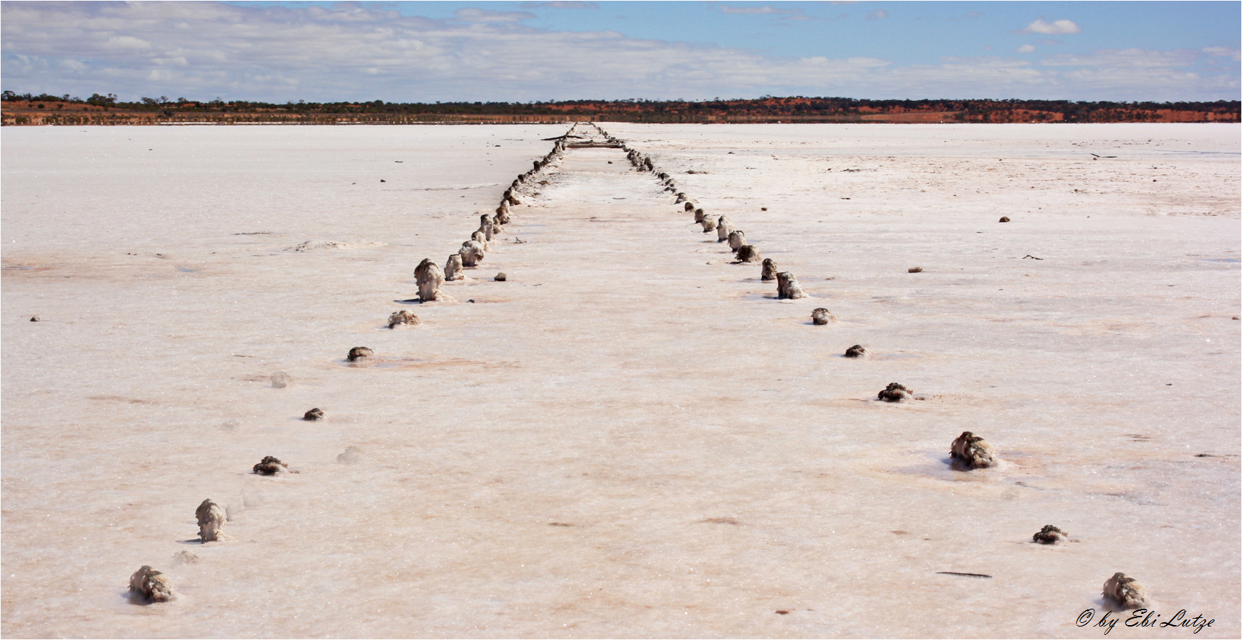 ** The last Remains of the Lake Hart Salt Production **