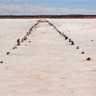 ** The last Remains of the Lake Hart Salt Production **