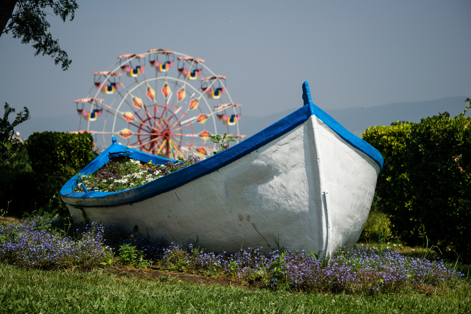 The Last Sailing in Flowers