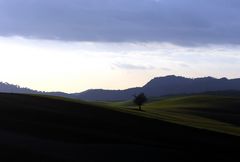 the last shadows