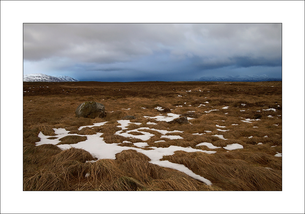 [ the last snow ]