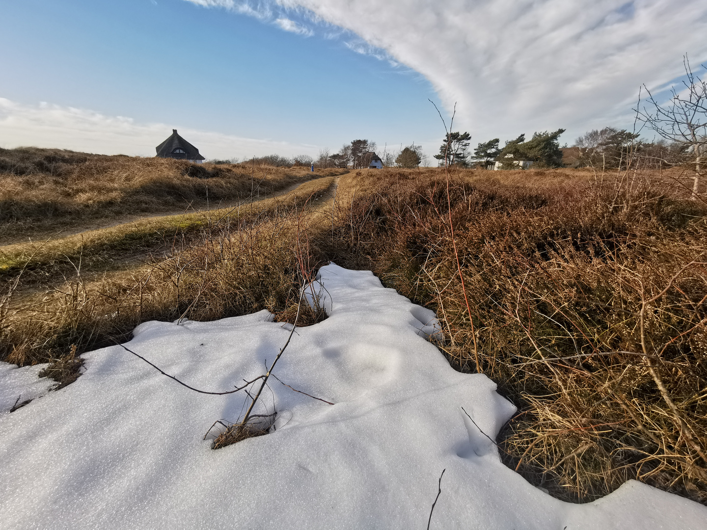 The last snow 