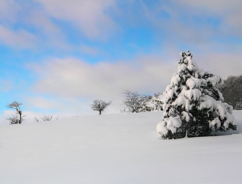 The last snow of winter