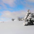 The last snow of winter