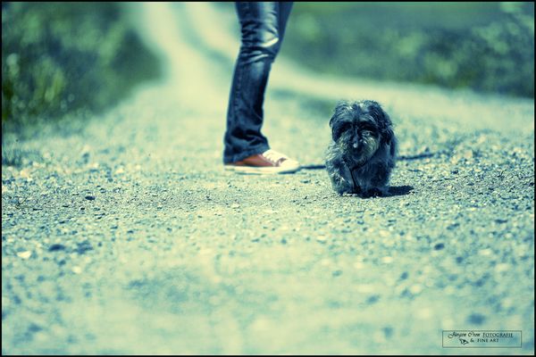 : : THE LAST SUMMER : :