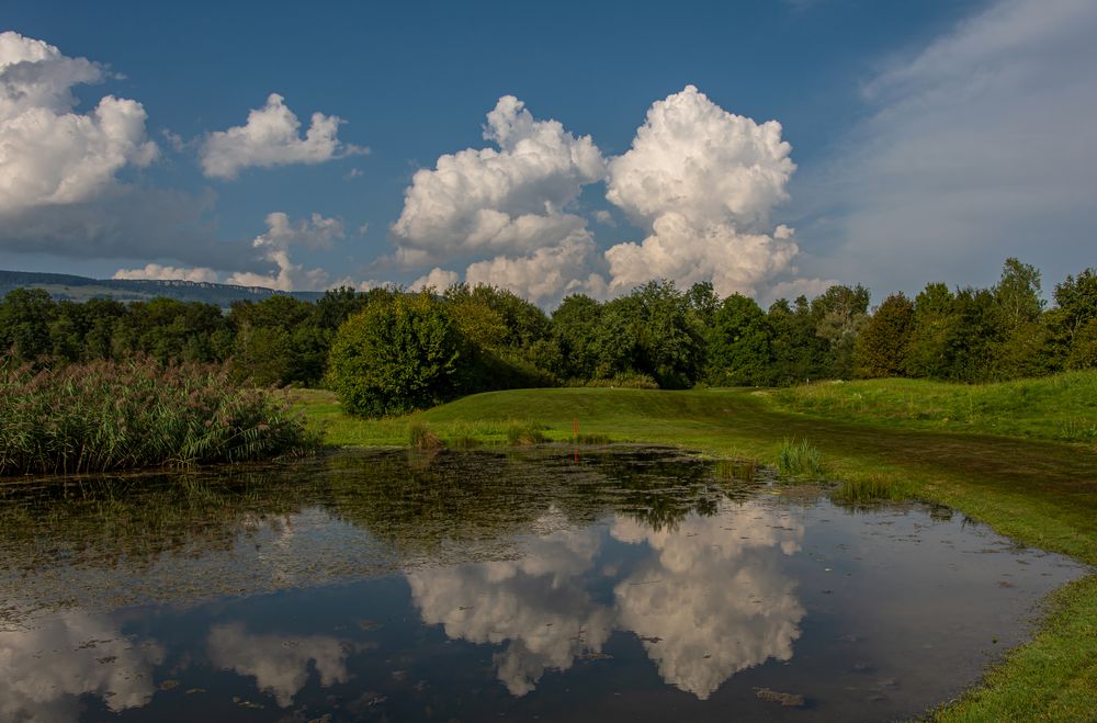 THE LAST SUMMER DAY