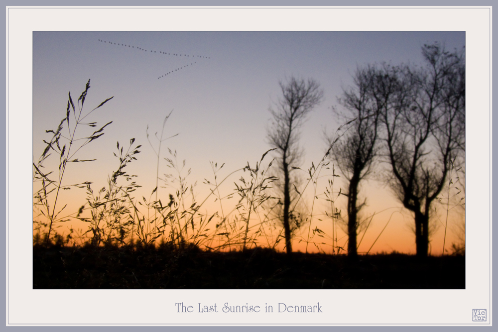 The Last Sunrise in Denmark