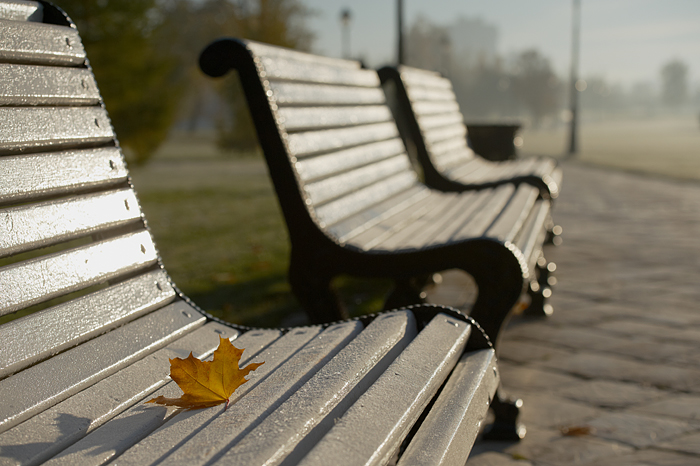 The last visitor of the park