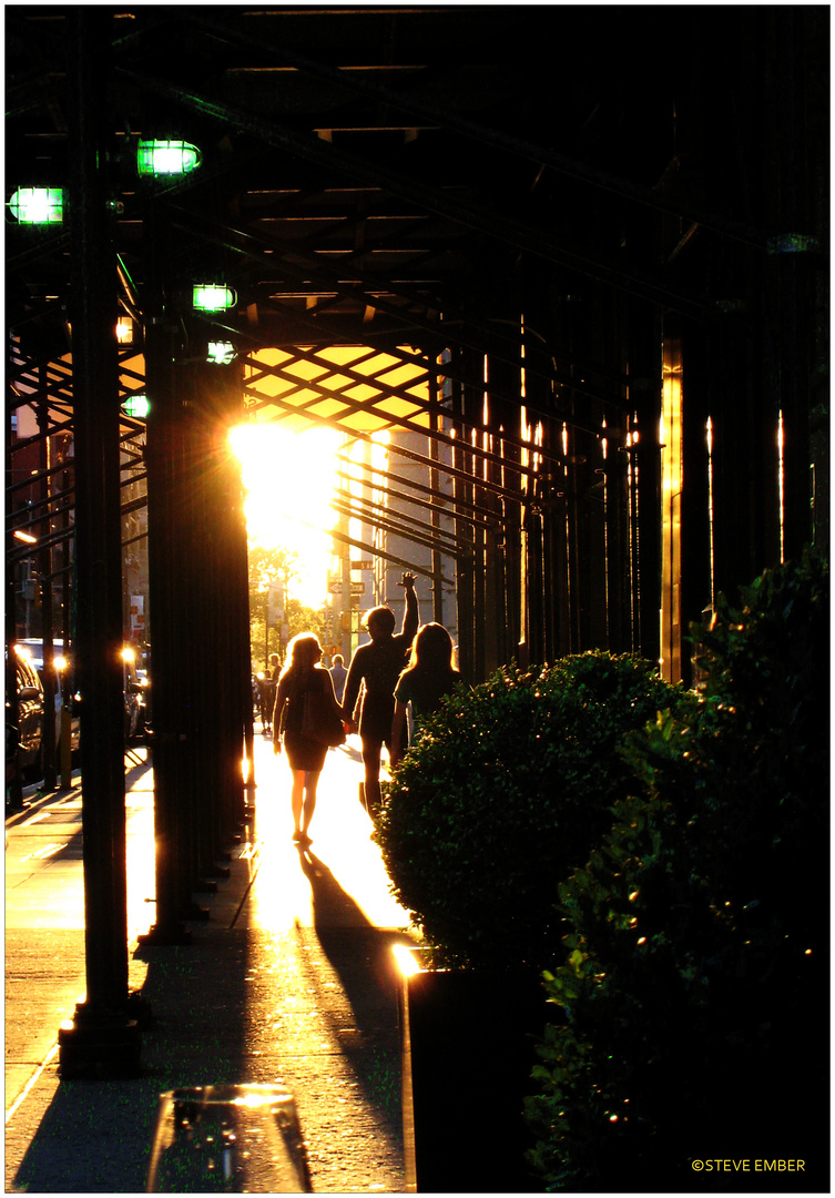 The Late Afternoon Sun of New York in June photo & image | people