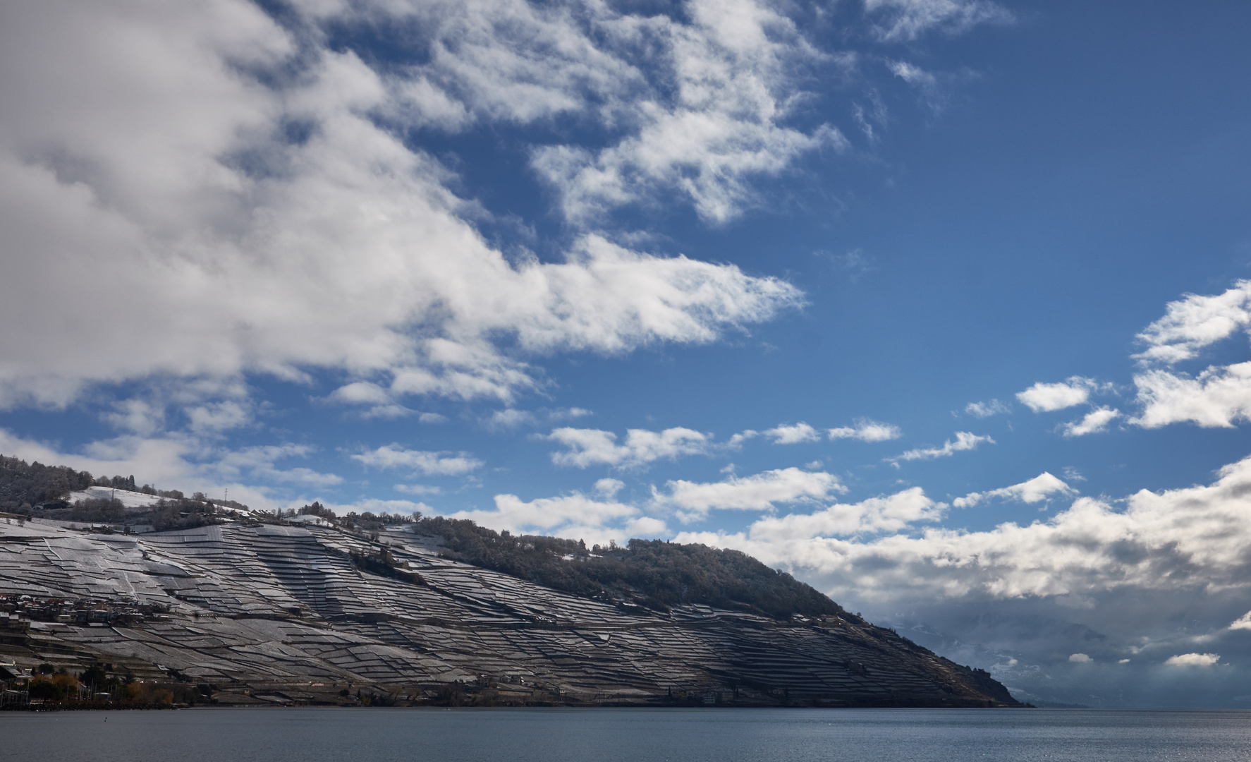 THE Lavaux