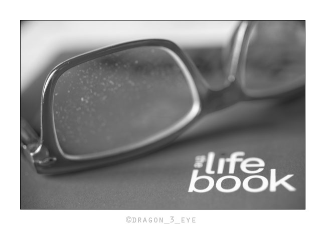 the life book 3