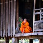 The life of a Lao monk