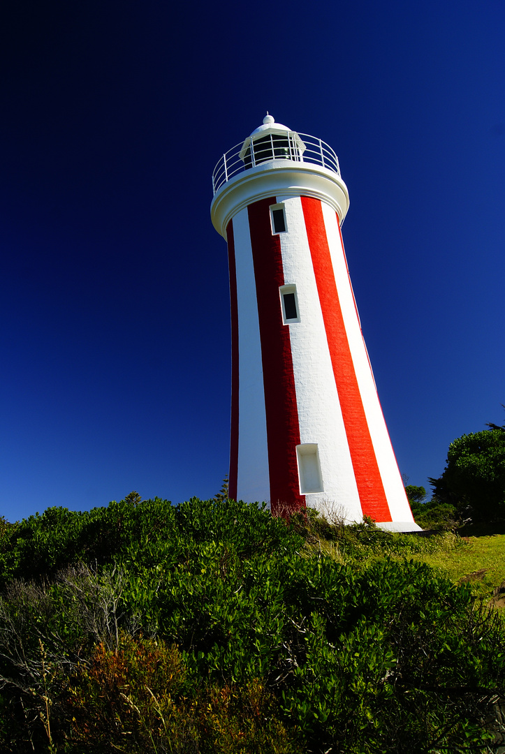 the light house