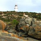 *** The Light House of Corny Point ***