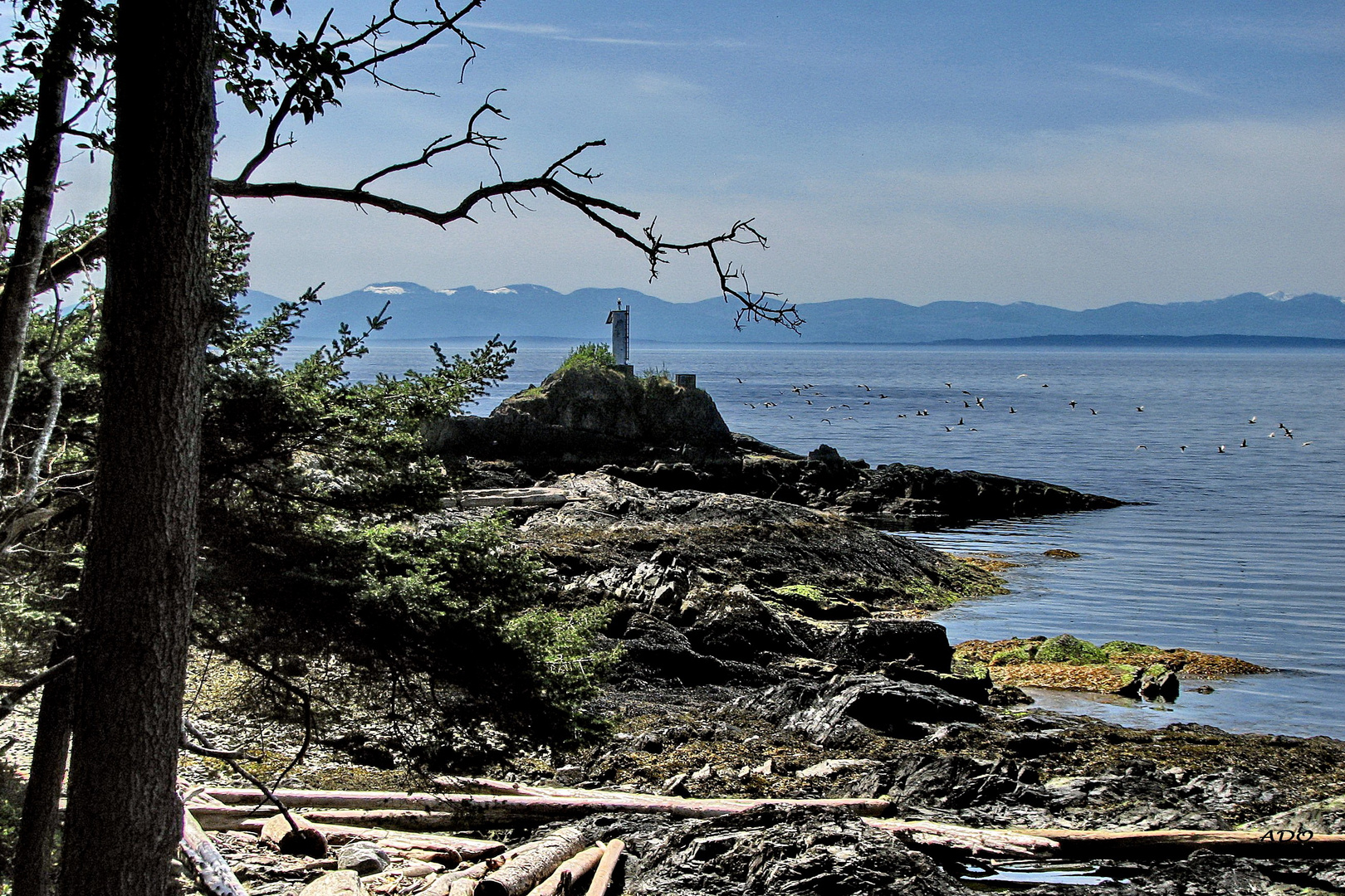 The Light on Bowen Island