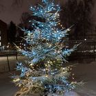 The lighted Christmas tree