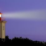 *The Lighthouse*