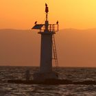 The Lighthouse on Izmir Bay 2006...