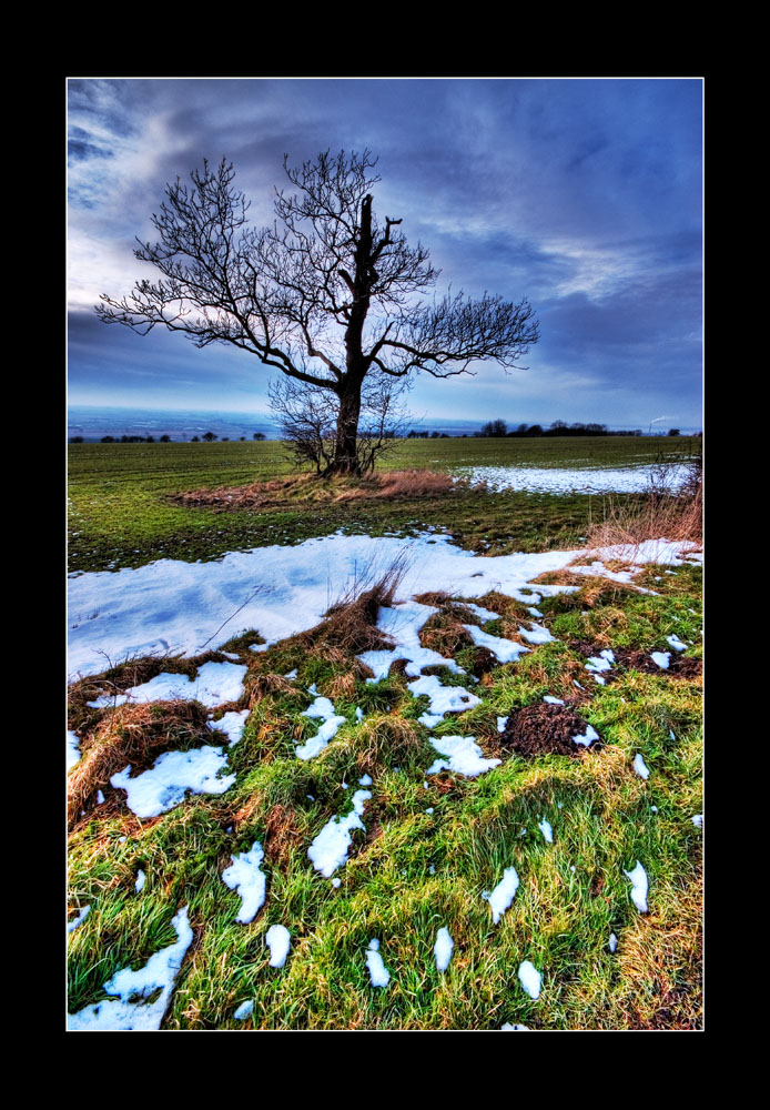 The Lincolnshire Wolds