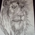 The Lion