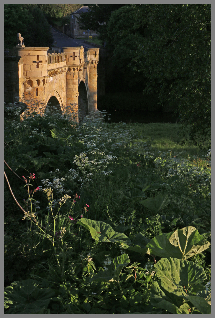 the lion bridge in Alnwick at dusk