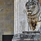 The Lion in Munich