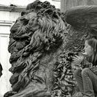The Lion in Venice