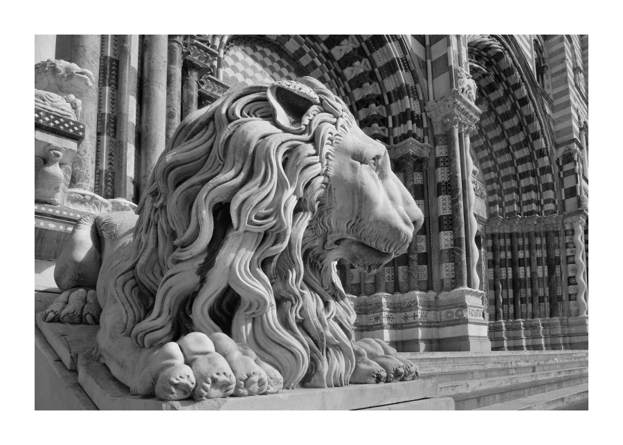 The Lion of San Lorenzo