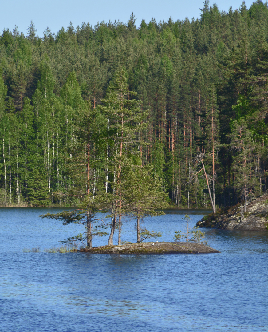 The litle isle in national park of Repovesi