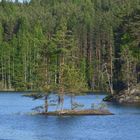 The litle isle in national park of Repovesi