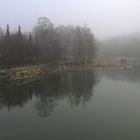 The Litle Kuusisaari on fog