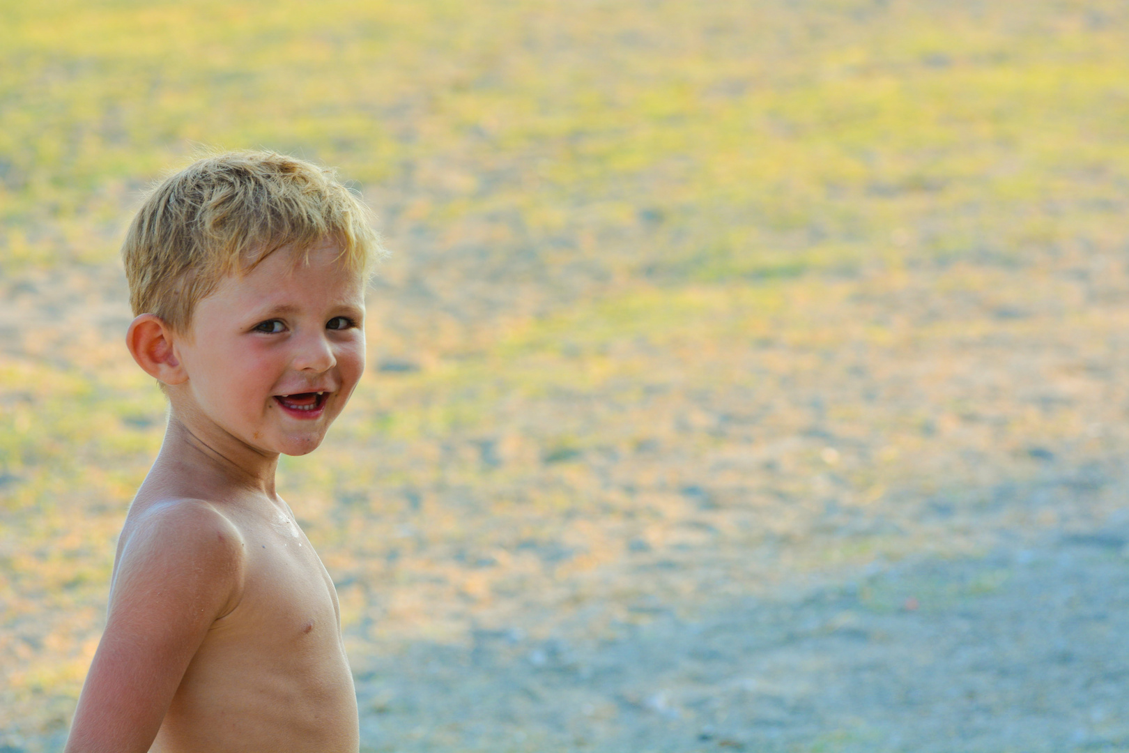 The little Beachboy