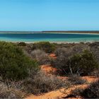 * The little blue lagoon and the Jellyfisch *