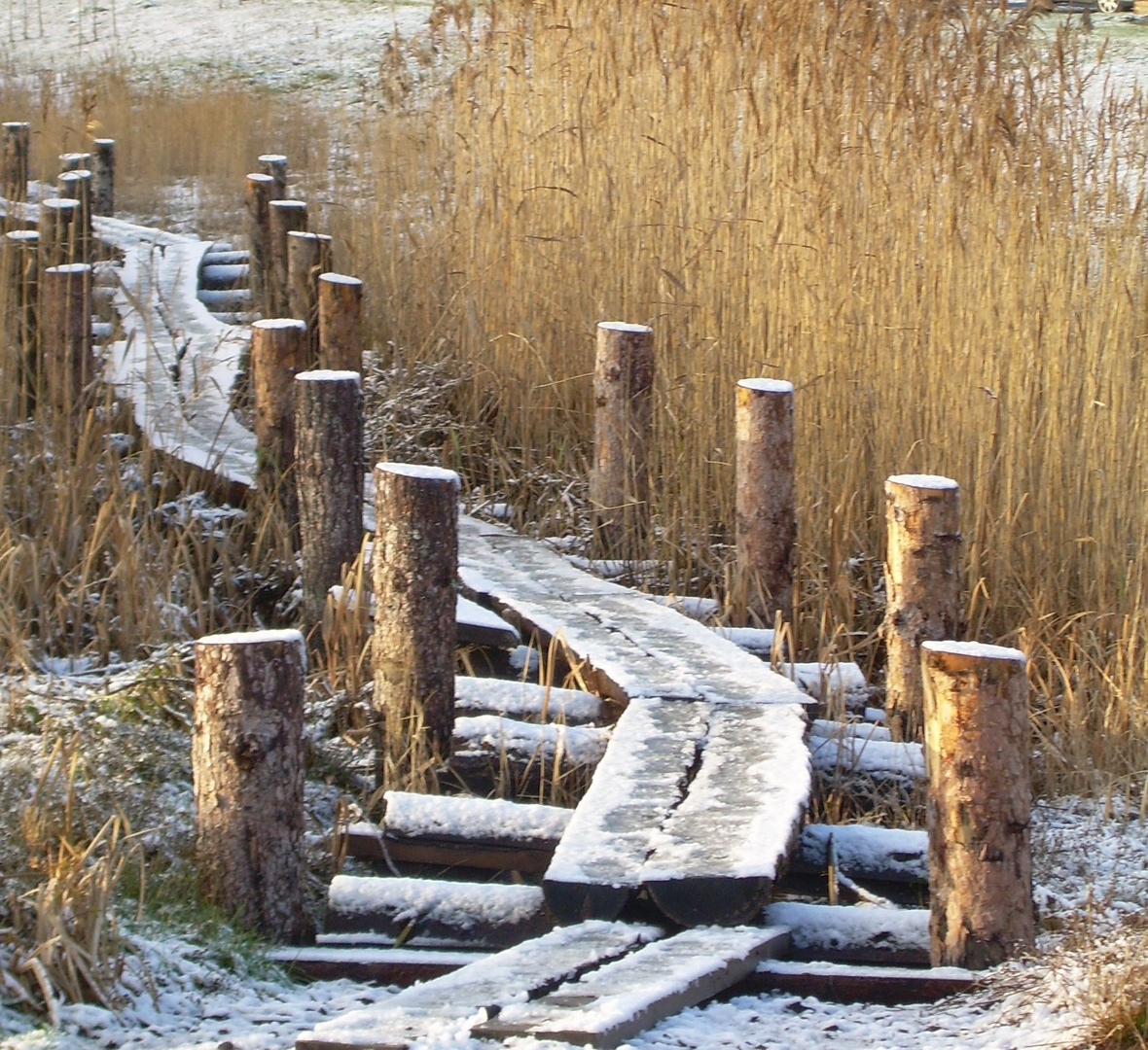 The little bridge