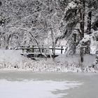 The little bridge on Seurasaari