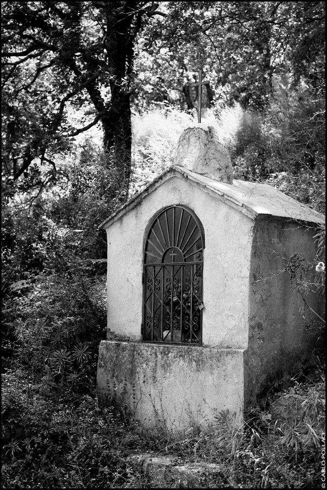 The little chapel in the woods