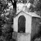 The little chapel in the woods