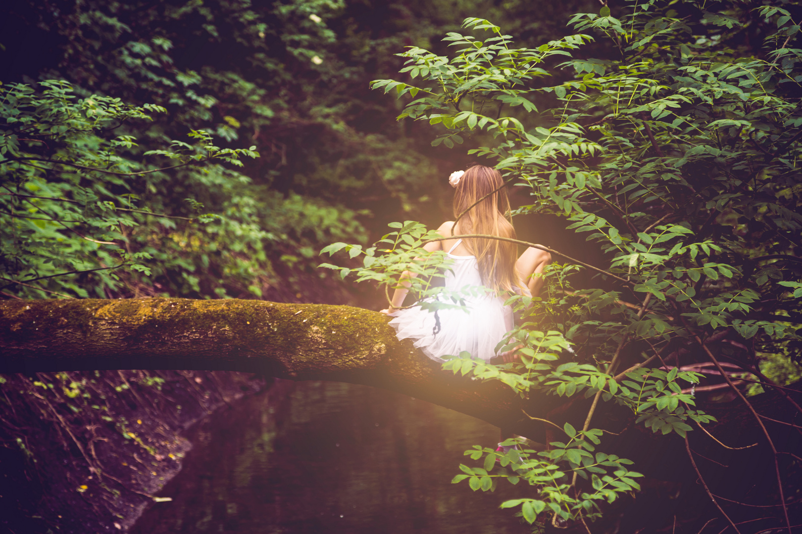 The little forest Ballerina