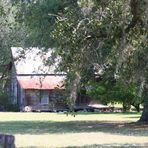 The little house in the woods