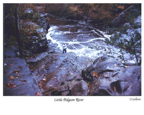 The Little Pidgeon River