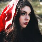 The Little Red Riding Hood