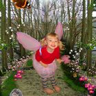 The Little Woodland Fairy