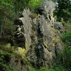 The Living Forest (118) : The Bilisse Rock