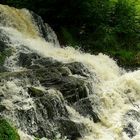 The Living Forest (249) : Waterfall