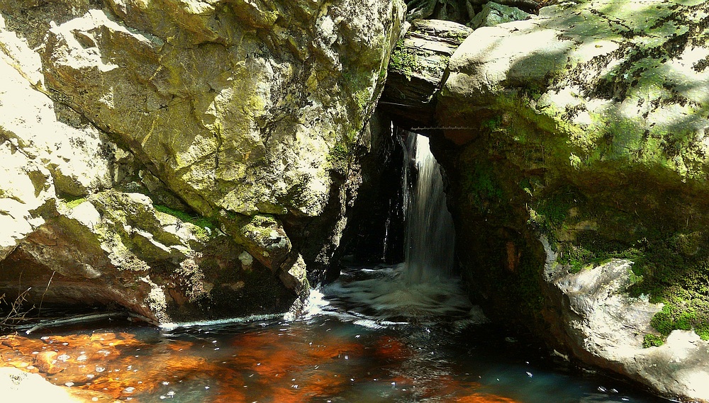 The Living Forest (4) : waterfall