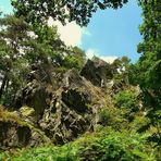 The Living Forest (5) : the Bilisse Rock.