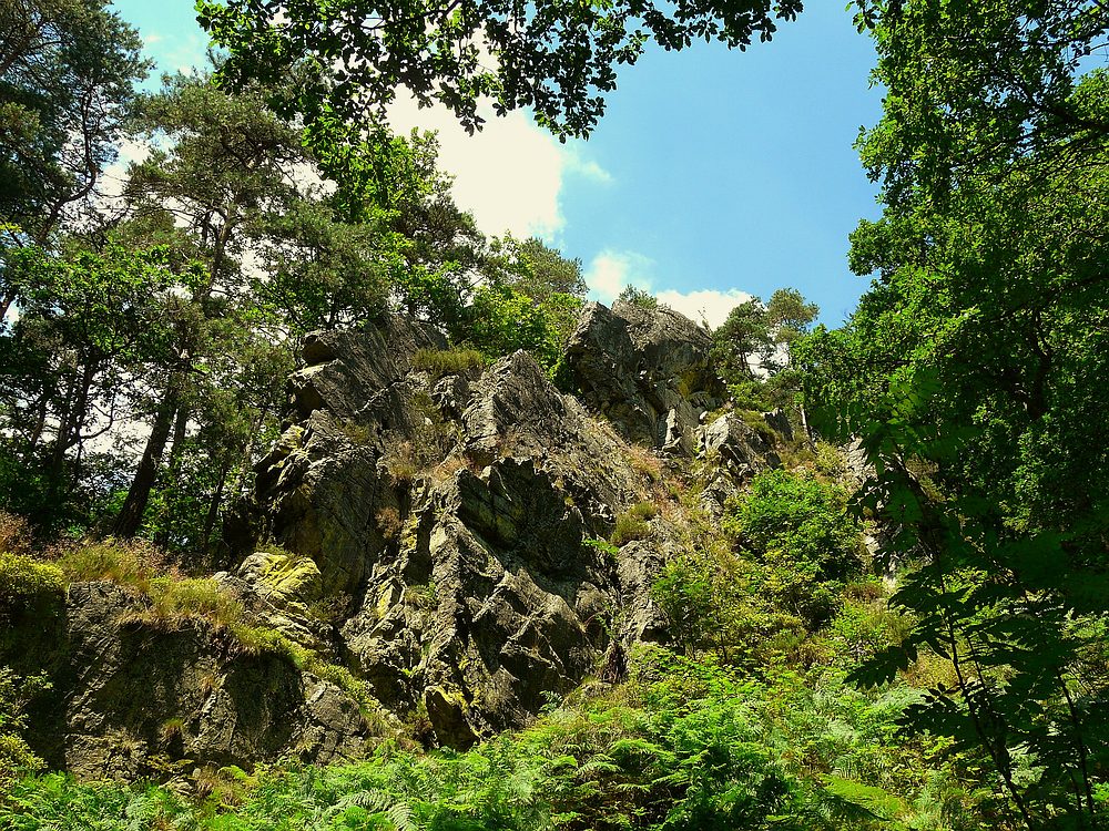 The Living Forest (5) : the Bilisse Rock.